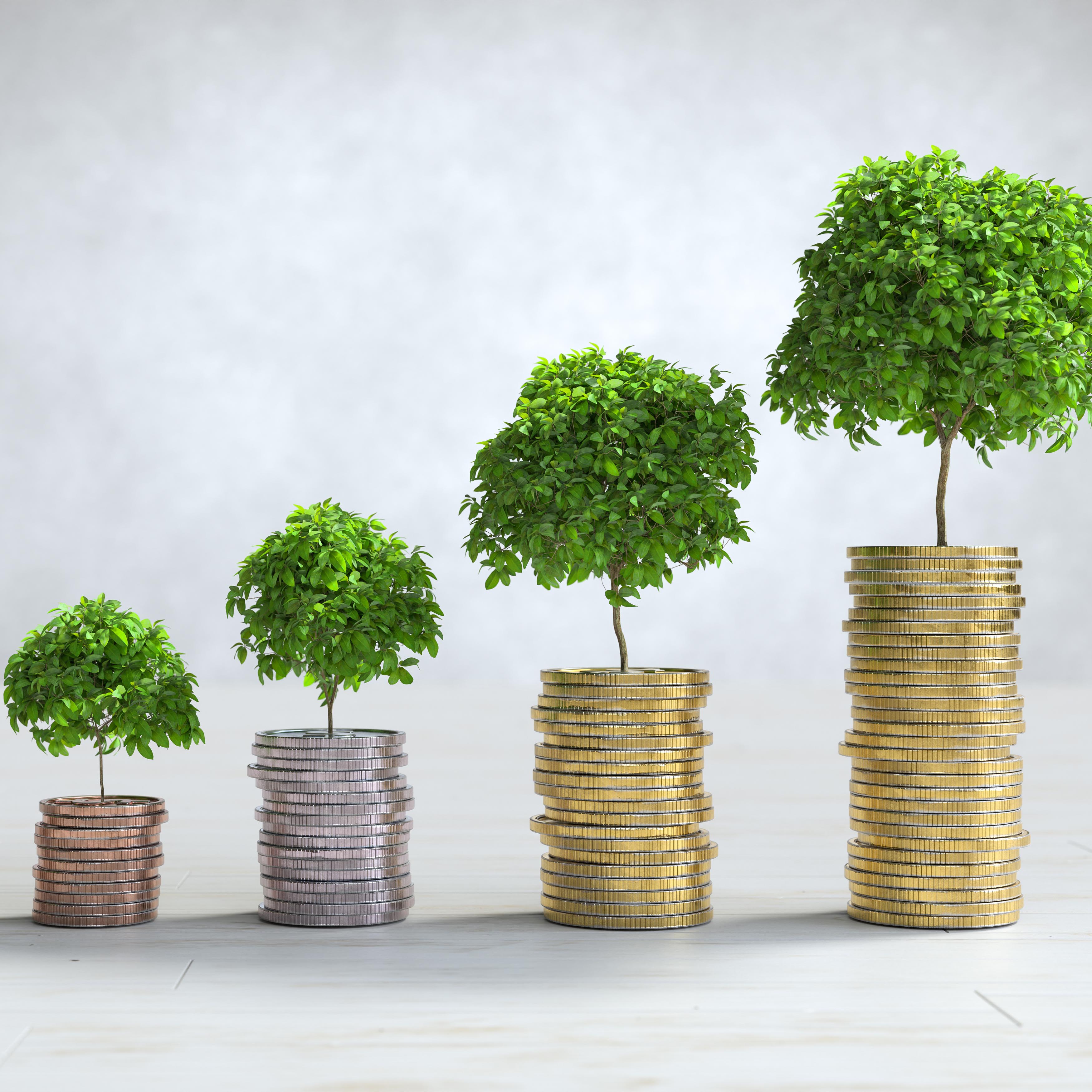 Our Investment Approach